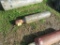 Acetylene Tanks
