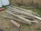 Lot of Fence Posts