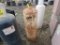 Propane Tank