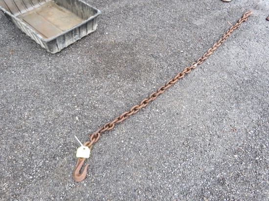 9ft Chain w/2 Hooks