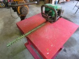 Hedge Shears