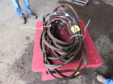 Torch Leads
