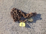 8ft Chain w/Hooks