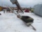 Mayrath 65ft x 8ft PTO Grain Auger