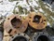 3 Sets of Wheel Weights