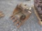 24inch Tooth Bucket