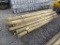 Bundle of Round Posts