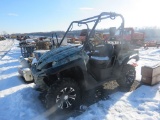 Kawaski SXS