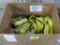 4 BRAND NEW Ratchet Straps