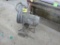 Paint Sprayer