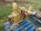Teel 3inch Water Pump w/Gas Engine