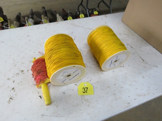 Lot of String Line