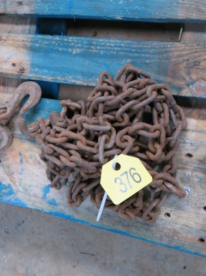 20ft Log Chain