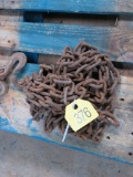 20ft Log Chain