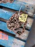 8ft Log Chain