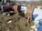 3pth 2x Corn Planter