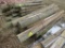 Fence Posts