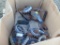 Box of Yetter Parts