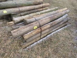Fence Posts