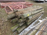 Fence Posts
