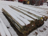 Fence Posts