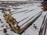 Fence Posts