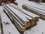 Fence Posts