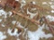 Cultivator parts