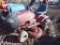 Murray lawn tractor w/42in deck