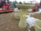 Concrete bird water