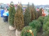 5 Degroot