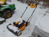 CC Push Mower