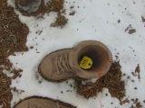 Concrete shoe flowerpot
