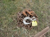 Chain