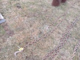 Log chain