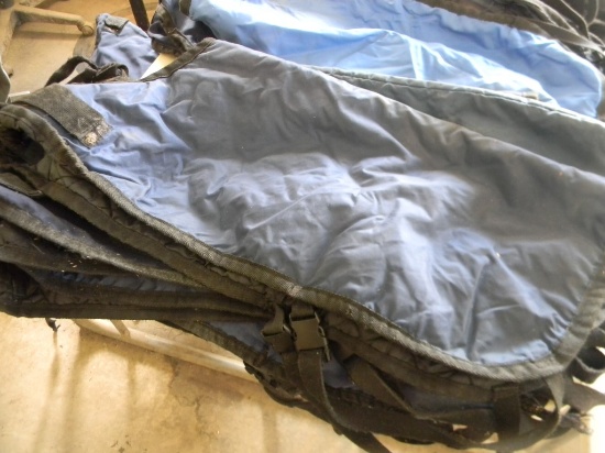 5 Calf Blankets