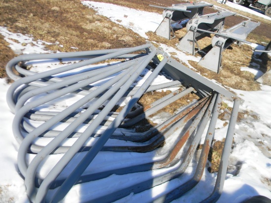 10 Freestall Hoops