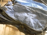 5 Calf Blankets