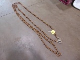 22ft Log Chain