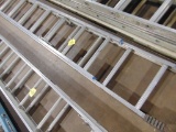 22ft Alum Extension Ladder