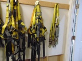 4 Universal Size Harnesses