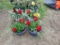2 Hanging Baskets