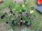 2 Hanging Baskets