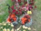 2 Hanging Baskets