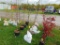 Pear Tree
