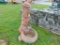 Water Fountain