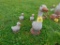 Duck w/Family