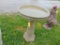 Bird Bath