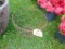 Egg Basket