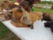 Fox Mount